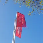 Griffith flags