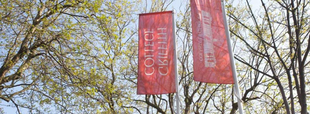 Griffith College Dublin Campus Flag